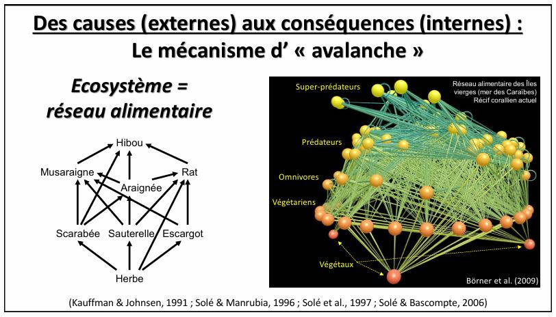 2025-11-13 – Formation « prise en compte de la biodiversité »