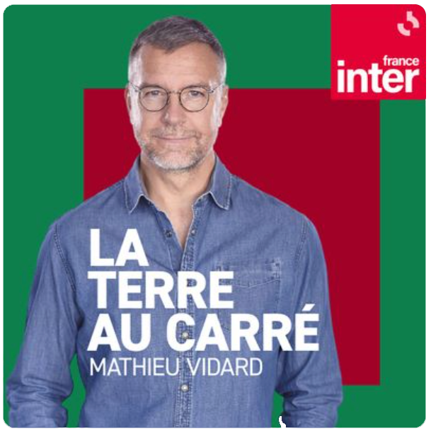 Data centers : quels impacts sur l'environnement