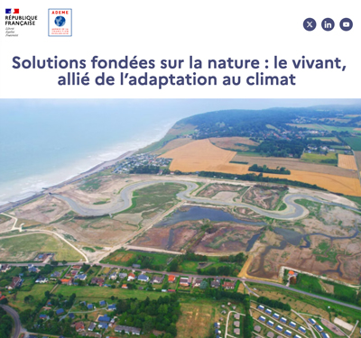 Solutions fondées sur la nature : le vivant, allié de l’adaptation au climat